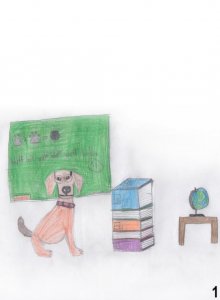 Biologie am VHG