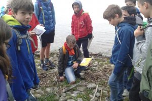 Biologie am VHG